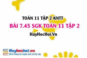 Bài 7.45 SGK Toán 11 Tập 2 Kết nối tri thức